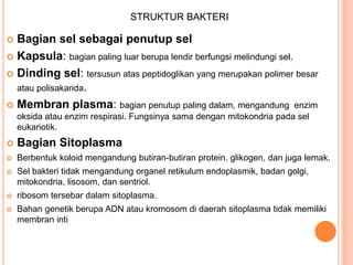  Bagian sel sebagai penutup sel
 Kapsula: bagian paling luar berupa lendir berfungsi melindungi sel.
 Dinding sel: tersusun atas peptidoglikan yang merupakan polimer besar
atau polisakarida.
 Membran plasma: bagian penutup paling dalam, mengandung enzim
oksida atau enzim respirasi. Fungsinya sama dengan mitokondria pada sel
eukariotik.
 Bagian Sitoplasma
 Berbentuk koloid mengandung butiran-butiran protein, glikogen, dan juga lemak.
 Sel bakteri tidak mengandung organel retikulum endoplasmik, badan golgi,
mitokondria, lisosom, dan sentriol.
 ribosom tersebar dalam sitoplasma.
 Bahan genetik berupa ADN atau kromosom di daerah sitoplasma tidak memiliki
membran inti
STRUKTUR BAKTERI
 