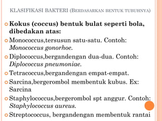 KLASIFIKASI BAKTERI (BERDASARKAN BENTUK TUBUHNYA)
 Kokus (coccus) bentuk bulat seperti bola,
dibedakan atas:
 Monococcus,tersusun satu-satu. Contoh:
Monococcus gonorhoe.
 Diplococcus,bergandengan dua-dua. Contoh:
Diplococcus pneumoniae.
 Tetracoccus,bergandengan empat-empat.
 Sarcina,bergerombol membentuk kubus. Ex:
Sarcina
 Staphylococcus,bergerombol spt anggur. Contoh:
Staphylococcus aureus.
 Streptococcus, bergandengan membentuk rantai
 