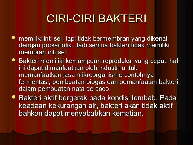 Bakteri