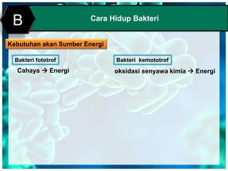 Cara Hidup Bakteri
B
Kebutuhan akan Sumber Energi
Cahaya  Energi
Bakteri fototrof Bakteri kemototrof
oksidasi senyawa kimia  Energi
 