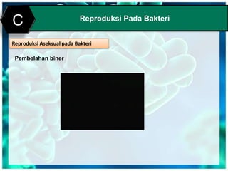 Print MasterReproduksi Pada Bakteri
C
Reproduksi Aseksual pada Bakteri
Pembelahan biner
 