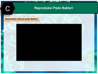 Print MasterReproduksi Pada Bakteri
C
Reproduksi seksual pada Bakteri
 