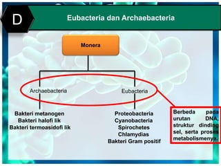 Print MasterEubacteria dan Archaebacteria
D
Monera
Archaebacteria Eubacteria
Bakteri metanogen
Bakteri halofi lik
Bakteri termoasidofi lik
Proteobacteria
Cyanobacteria
Spirochetes
Chlamydias
Bakteri Gram positif
Berbeda pada
urutan DNA,
struktur dinding
sel, serta proses
metabolismenya.
 