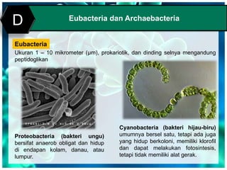 Print MasterEubacteria dan Archaebacteria
D
Eubacteria
Ukuran 1 – 10 mikrometer (μm), prokariotik, dan dinding selnya mengandung
peptidoglikan
Proteobacteria (bakteri ungu)
bersifat anaerob obligat dan hidup
di endapan kolam, danau, atau
lumpur.
Cyanobacteria (bakteri hijau-biru)
umumnya bersel satu, tetapi ada juga
yang hidup berkoloni, memiliki klorofil
dan dapat melakukan fotosintesis,
tetapi tidak memiliki alat gerak.
 