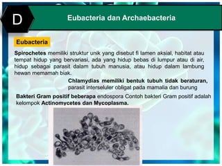 Print MasterEubacteria dan Archaebacteria
D
Eubacteria
Spirochetes memiliki struktur unik yang disebut fi lamen aksial, habitat atau
tempat hidup yang bervariasi, ada yang hidup bebas di lumpur atau di air,
hidup sebagai parasit dalam tubuh manusia, atau hidup dalam lambung
hewan memamah biak.
Chlamydias memiliki bentuk tubuh tidak beraturan,
parasit interseluler obligat pada mamalia dan burung
Bakteri Gram positif beberapa endospora Contoh bakteri Gram positif adalah
kelompok Actinomycetes dan Mycoplasma.
 