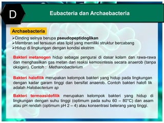 Print MasterEubacteria dan Archaebacteria
D
Archaebacteria
Dinding selnya berupa pseudopeptidoglikan
Membran sel tersusun atas lipid yang memiliki struktur bercabang
Hidup di lingkungan dengan kondisi ekstrim
Bakteri metanogen hidup sebagai pengurai di dasar kolam dan rawa-rawa
dan menghasilkan gas metan dari reaksi kemosintesis secara anaerob (tanpa
oksigen). Contoh : Methanobacterium
Bakteri halofilik merupakan kelompok bakteri yang hidup pada lingkungan
dengan kadar garam tinggi dan bersifat anaerob. Contoh bakteri halofi lik
adalah Halobacterium sp
Bakteri termoasidofilik merupakan kelompok bakteri yang hidup di
lingkungan dengan suhu tinggi (optimum pada suhu 60 – 80°C) dan asam
atau pH rendah (optimum pH 2 – 4) atau konsentrasi belerang yang tinggi.
 