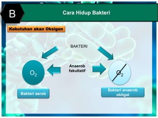 Cara Hidup Bakteri
B
Kebutuhan akan Oksigen
O2
Bakteri aerob
O2
Bakteri anaerob
obligat
Anaerob
fakultatif
BAKTERI
 