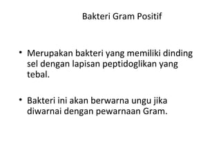 Bakteri Gram Positif
• Merupakan bakteri yang memiliki dinding
sel dengan lapisan peptidoglikan yang
tebal.
• Bakteri ini akan berwarna ungu jika
diwarnai dengan pewarnaan Gram.
 