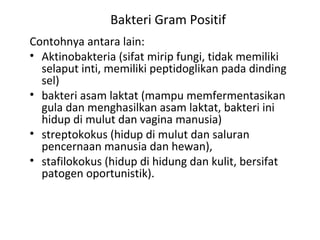 Bakteri Gram Positif
Contohnya antara lain:
• Aktinobakteria (sifat mirip fungi, tidak memiliki
selaput inti, memiliki peptidoglikan pada dinding
sel)
• bakteri asam laktat (mampu memfermentasikan
gula dan menghasilkan asam laktat, bakteri ini
hidup di mulut dan vagina manusia)
• streptokokus (hidup di mulut dan saluran
pencernaan manusia dan hewan),
• stafilokokus (hidup di hidung dan kulit, bersifat
patogen oportunistik).
 