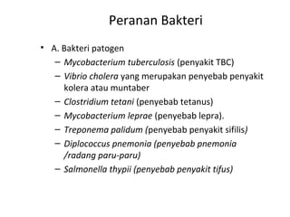 Peranan Bakteri
• A. Bakteri patogen
– Mycobacterium tuberculosis (penyakit TBC)
– Vibrio cholera yang merupakan penyebab penyakit
kolera atau muntaber
– Clostridium tetani (penyebab tetanus)
– Mycobacterium leprae (penyebab lepra).
– Treponema palidum (penyebab penyakit sifilis)
– Diplococcus pnemonia (penyebab pnemonia
/radang paru-paru)
– Salmonella thypii (penyebab penyakit tifus)
 