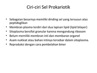 Ciri-ciri Sel Prokariotik
• Sebagaian besarnya memiliki dinding sel yang tersusun atas
peptidoglikan
• Membran plasma terdiri dari dua lapisan lipid (lipid bilayer)
• Sitoplasma bersifat granular karena mengandung ribosom
• Belum memiliki membran inti dan membaran organel
• Asam nukleat atau bahan intinya tersebar dalam sitoplasma.
• Reproduksi dengan cara pembelahan biner
 