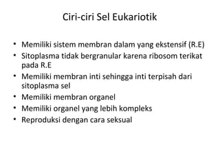 Ciri-ciri Sel Eukariotik
• Memiliki sistem membran dalam yang ekstensif (R.E)
• Sitoplasma tidak bergranular karena ribosom terikat
pada R.E
• Memiliki membran inti sehingga inti terpisah dari
sitoplasma sel
• Memiliki membran organel
• Memiliki organel yang lebih kompleks
• Reproduksi dengan cara seksual
 