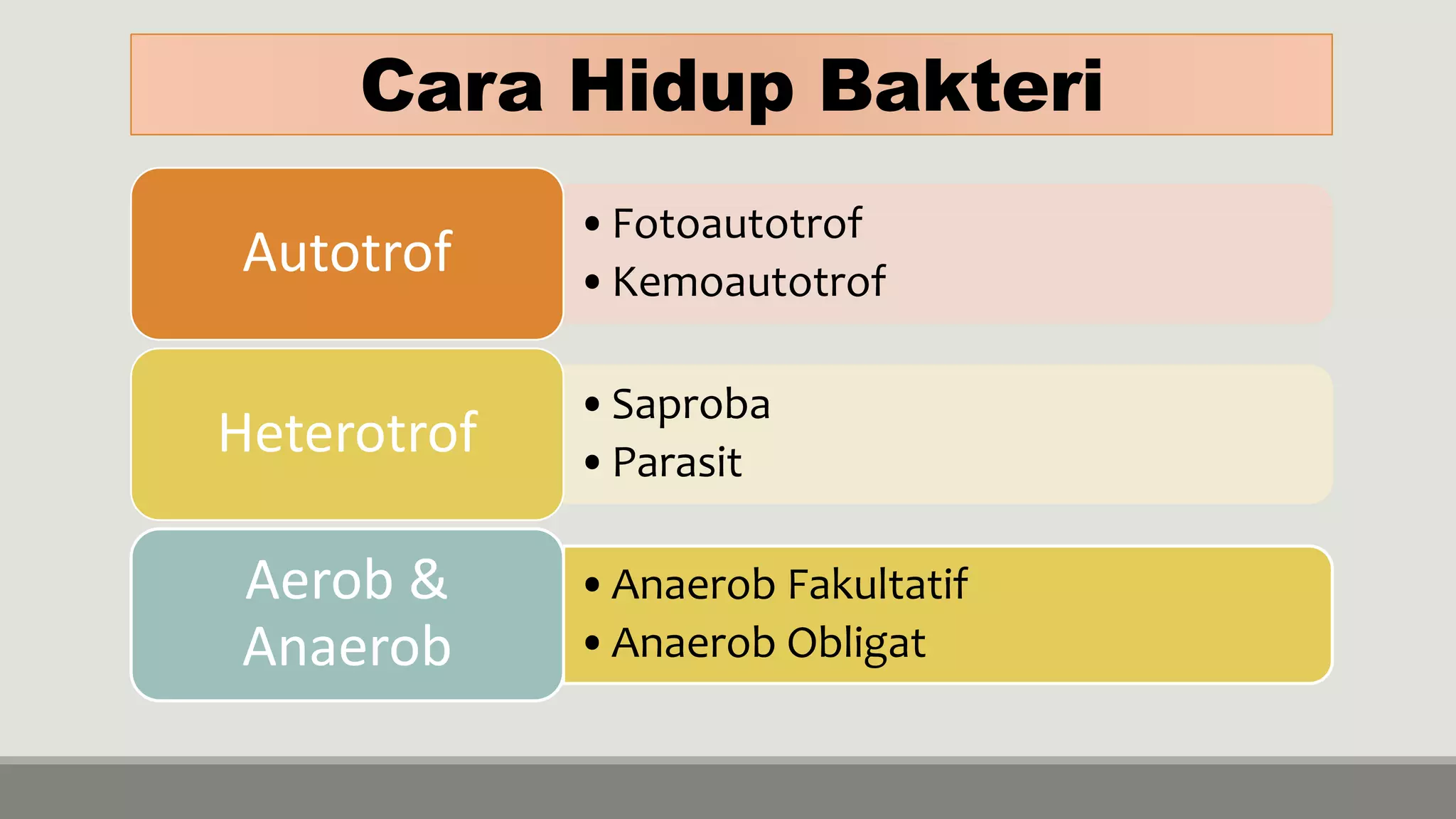 Bakteri | PPTX