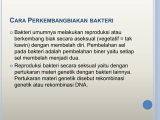 CARA PERKEMBANGBIAKAN BAKTERI
 Bakteri umumnya melakukan reproduksi atau
berkembang biak secara aseksual (vegetatif = tak
kawin) dengan membelah diri. Pembelahan sel
pada bakteri adalah pembelahan biner yaitu setiap
sel membelah menjadi dua.
 Reproduksi bakteri secara seksual yaitu dengan
pertukaran materi genetik dengan bakteri lainnya.
Pertukaran materi genetik disebut rekombinasi
genetik atau rekombinasi DNA.
 