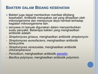 BAKTERI DALAM BIDANG KESEHATAN
 Bakteri juga dapat memberikan manfaat dibidang
kesehatan. Antibiotik merupakan zat yang dihasilkan oleh
mikroorganisme dan mempunyai daya hambat terhadap
kegiatan mikroorganisme lain.
 senyawa ini banyak digunakan dalam menyembuhkan
suatu penyakit. Beberapa bakteri yang menghasilkan
antibiotik adalah:
 Streptomyces griseus, menghasilkan antibiotik streptomycin
 Streptomyces aureofaciens, menghasilkan antibiotik
tetracycline
 Streptomyces venezuelae, menghasilkan antibiotik
chloramphenicol
 Penicillium, menghasilkan antibiotik penisilin
 Bacillus polymyxa, menghasilkan antibiotik polymixin.
 