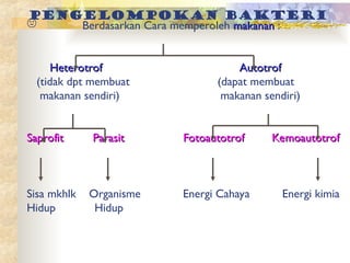 bakteri reproduksi ciri ciri contoh perkembangan | PPT