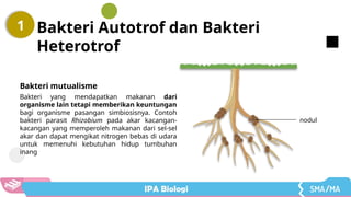 Materi IPA SMA Bakteri Kelas X Kurikulum Merdeka | PPTX