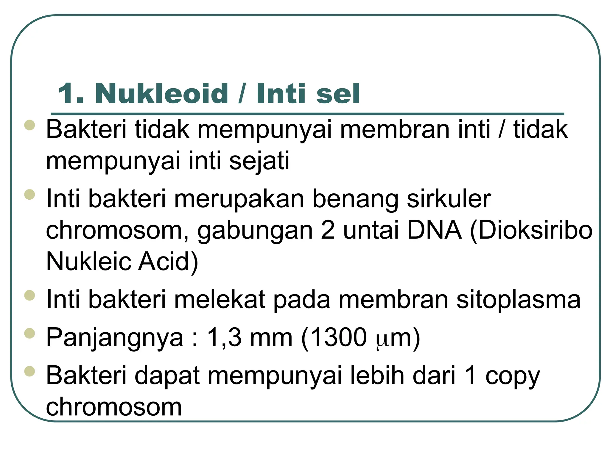 1. Nukleoid / Inti sel
 Bakteri tidak mempunyai membran inti / tidak
mempunyai inti sejati
 Inti bakteri merupakan benang sirkuler
chromosom, gabungan 2 untai DNA (Dioksiribo
Nukleic Acid)
 Inti bakteri melekat pada membran sitoplasma
 Panjangnya : 1,3 mm (1300 m)
 Bakteri dapat mempunyai lebih dari 1 copy
chromosom
 