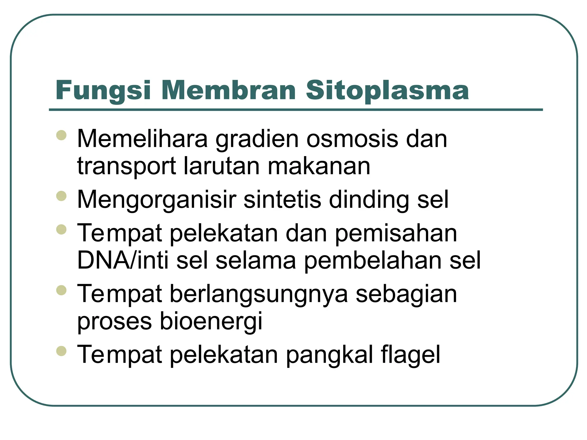 Fungsi Membran Sitoplasma
 Memelihara gradien osmosis dan
transport larutan makanan
 Mengorganisir sintetis dinding sel
 Tempat pelekatan dan pemisahan
DNA/inti sel selama pembelahan sel
 Tempat berlangsungnya sebagian
proses bioenergi
 Tempat pelekatan pangkal flagel
 