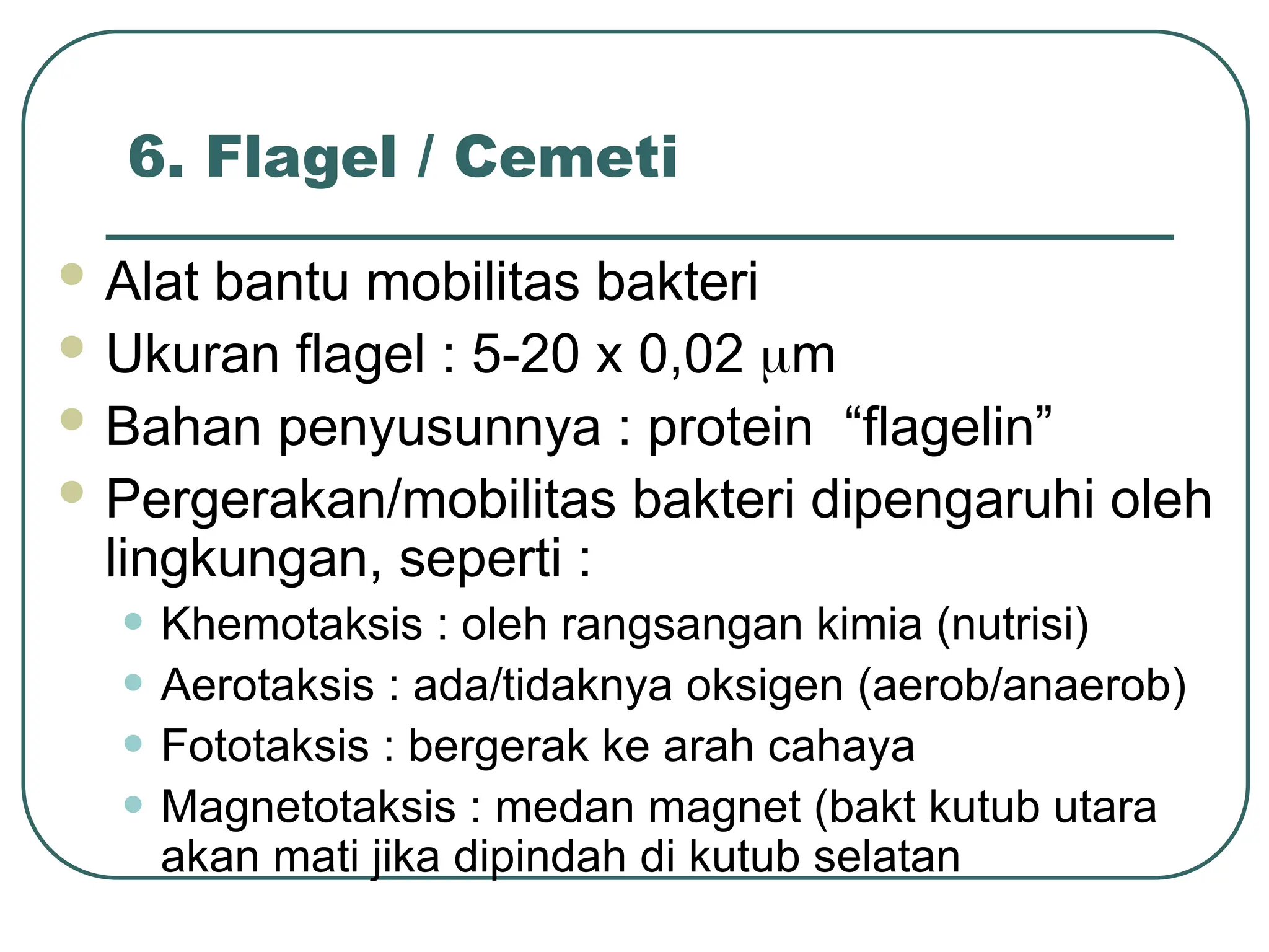 6. Flagel / Cemeti
 Alat bantu mobilitas bakteri
 Ukuran flagel : 5-20 x 0,02 m
 Bahan penyusunnya : protein “flagelin”
 Pergerakan/mobilitas bakteri dipengaruhi oleh
lingkungan, seperti :
• Khemotaksis : oleh rangsangan kimia (nutrisi)
• Aerotaksis : ada/tidaknya oksigen (aerob/anaerob)
• Fototaksis : bergerak ke arah cahaya
• Magnetotaksis : medan magnet (bakt kutub utara
akan mati jika dipindah di kutub selatan
 