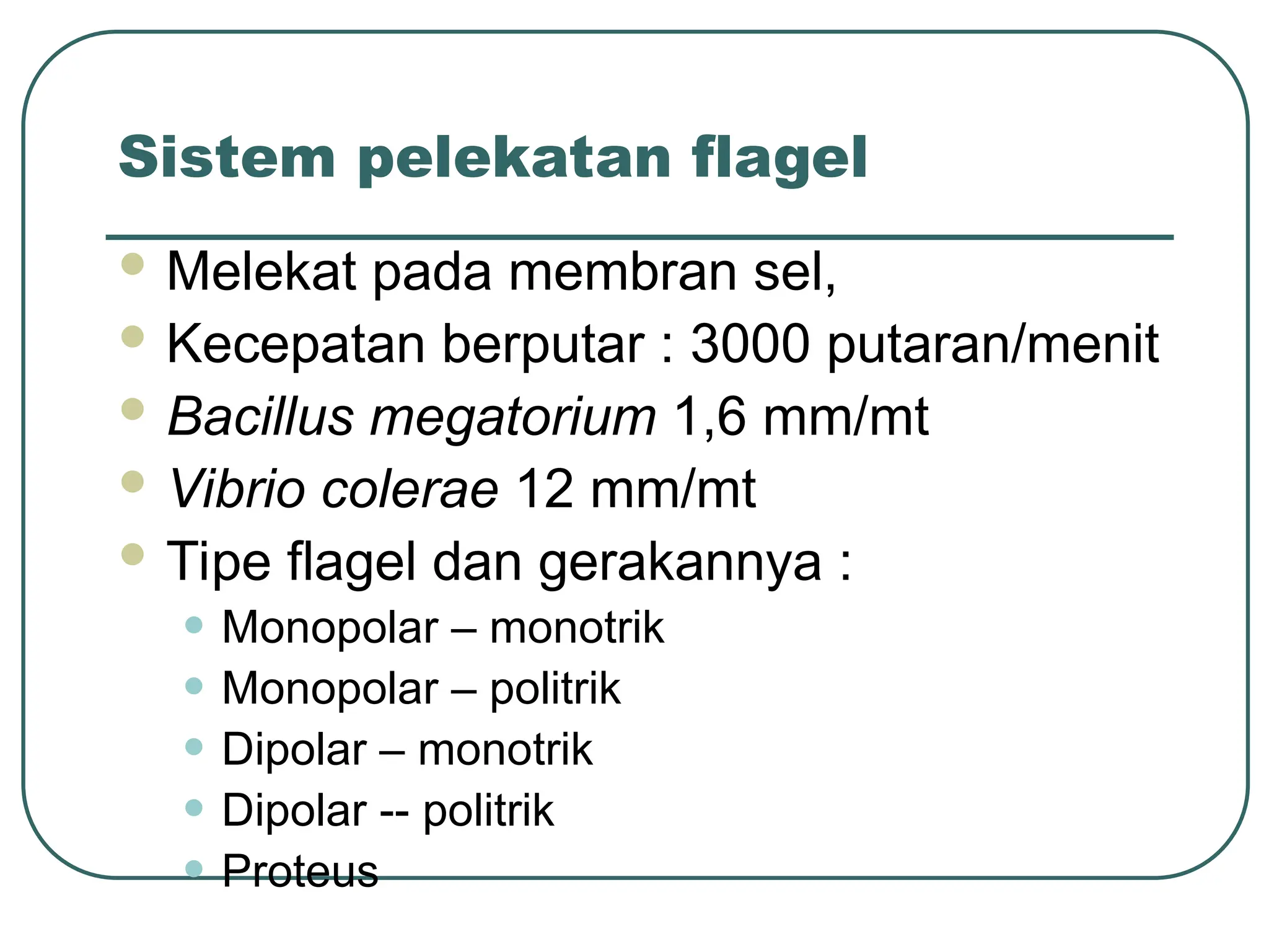 Sistem pelekatan flagel
 Melekat pada membran sel,
 Kecepatan berputar : 3000 putaran/menit
 Bacillus megatorium 1,6 mm/mt
 Vibrio colerae 12 mm/mt
 Tipe flagel dan gerakannya :
• Monopolar – monotrik
• Monopolar – politrik
• Dipolar – monotrik
• Dipolar -- politrik
• Proteus
 