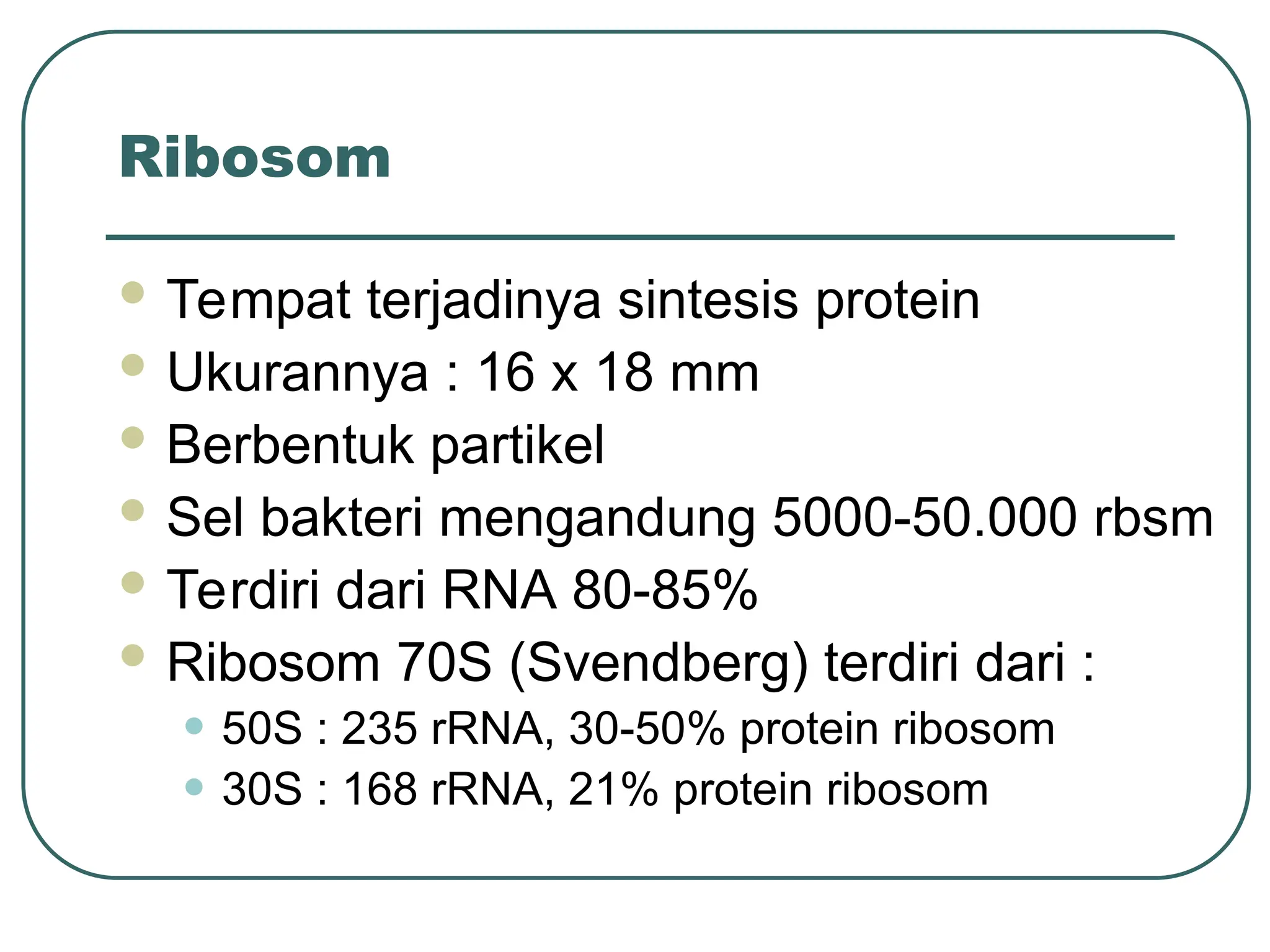 Ribosom
 Tempat terjadinya sintesis protein
 Ukurannya : 16 x 18 mm
 Berbentuk partikel
 Sel bakteri mengandung 5000-50.000 rbsm
 Terdiri dari RNA 80-85%
 Ribosom 70S (Svendberg) terdiri dari :
• 50S : 235 rRNA, 30-50% protein ribosom
• 30S : 168 rRNA, 21% protein ribosom
 