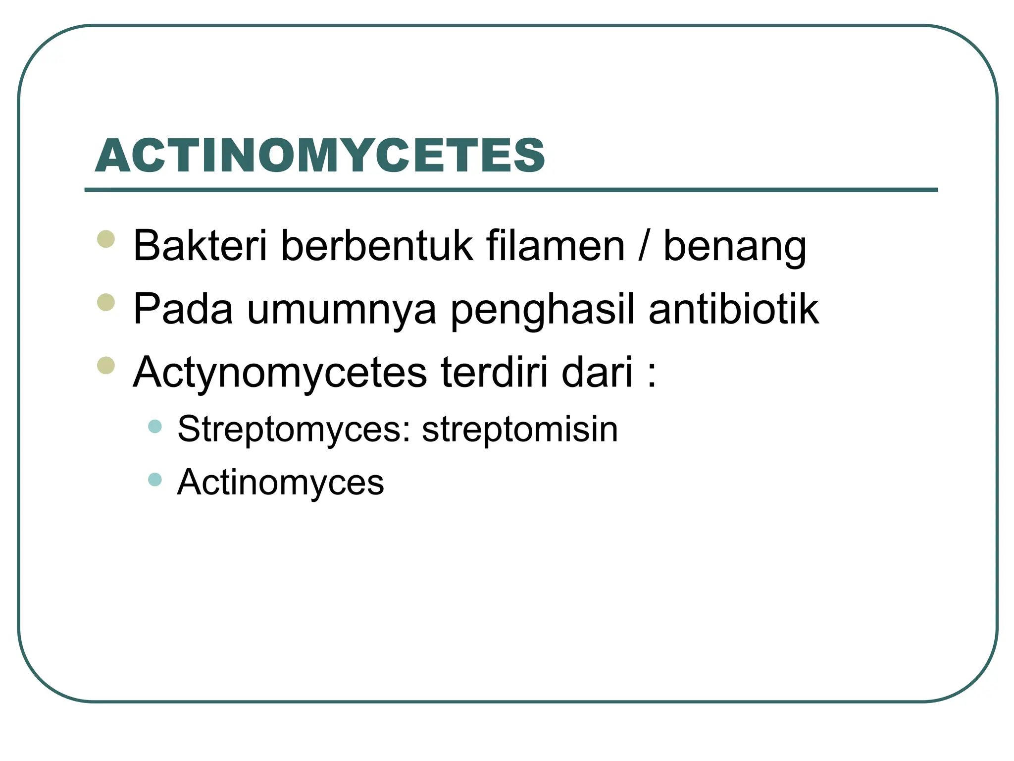 ACTINOMYCETES
 Bakteri berbentuk filamen / benang
 Pada umumnya penghasil antibiotik
 Actynomycetes terdiri dari :
• Streptomyces: streptomisin
• Actinomyces
 