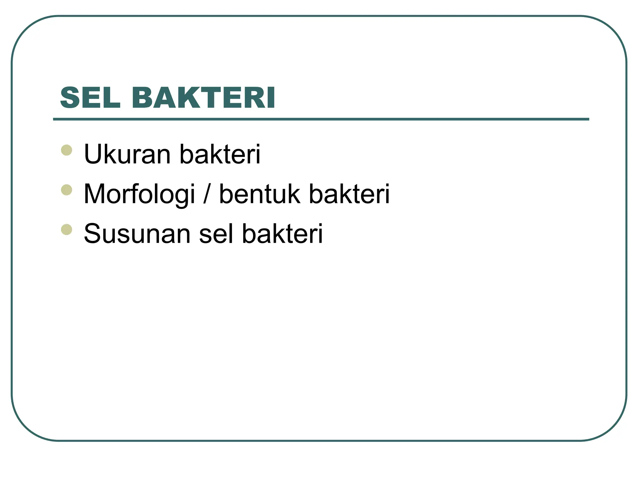 SEL BAKTERI
 Ukuran bakteri
 Morfologi / bentuk bakteri
 Susunan sel bakteri
 