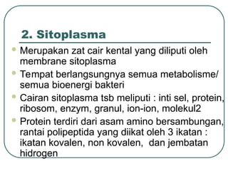 2. Sitoplasma
 Merupakan zat cair kental yang diliputi oleh
membrane sitoplasma
 Tempat berlangsungnya semua metabolisme/
semua bioenergi bakteri
 Cairan sitoplasma tsb meliputi : inti sel, protein,
ribosom, enzym, granul, ion-ion, molekul2
 Protein terdiri dari asam amino bersambungan,
rantai polipeptida yang diikat oleh 3 ikatan :
ikatan kovalen, non kovalen, dan jembatan
hidrogen
 