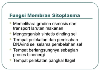 Fungsi Membran Sitoplasma
 Memelihara gradien osmosis dan
transport larutan makanan
 Mengorganisir sintetis dinding sel
 Tempat pelekatan dan pemisahan
DNA/inti sel selama pembelahan sel
 Tempat berlangsungnya sebagian
proses bioenergi
 Tempat pelekatan pangkal flagel
 