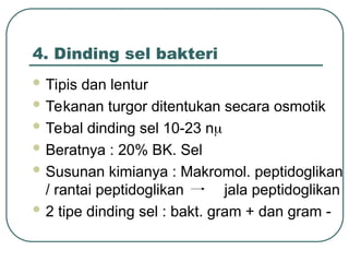 4. Dinding sel bakteri
 Tipis dan lentur
 Tekanan turgor ditentukan secara osmotik
 Tebal dinding sel 10-23 n
 Beratnya : 20% BK. Sel
 Susunan kimianya : Makromol. peptidoglikan
/ rantai peptidoglikan jala peptidoglikan
 2 tipe dinding sel : bakt. gram + dan gram -
 