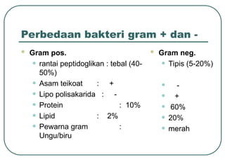 Perbedaan bakteri gram + dan -
 Gram pos.
• rantai peptidoglikan : tebal (40-
50%)
• Asam teikoat : +
• Lipo polisakarida : -
• Protein : 10%
• Lipid : 2%
• Pewarna gram :
Ungu/biru
 Gram neg.
• Tipis (5-20%)
• -
• +
• 60%
• 20%
• merah
 