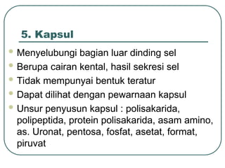 5. Kapsul
 Menyelubungi bagian luar dinding sel
 Berupa cairan kental, hasil sekresi sel
 Tidak mempunyai bentuk teratur
 Dapat dilihat dengan pewarnaan kapsul
 Unsur penyusun kapsul : polisakarida,
polipeptida, protein polisakarida, asam amino,
as. Uronat, pentosa, fosfat, asetat, format,
piruvat
 