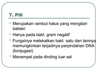 7. Pili
 Merupakan rambut halus yang mengitari
bakteri
 Hanya pada bakt. gram negatif
 Fungsinya melekatkan bakt. satu dan lainnya
memungkinkan terjadinya perpindahan DNA
(konjugasi)
 Menempel pada dinding luar sel
 