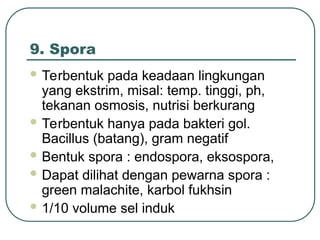 9. Spora
 Terbentuk pada keadaan lingkungan
yang ekstrim, misal: temp. tinggi, ph,
tekanan osmosis, nutrisi berkurang
 Terbentuk hanya pada bakteri gol.
Bacillus (batang), gram negatif
 Bentuk spora : endospora, eksospora,
 Dapat dilihat dengan pewarna spora :
green malachite, karbol fukhsin
 1/10 volume sel induk
 