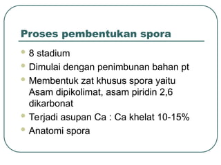 Proses pembentukan spora
 8 stadium
 Dimulai dengan penimbunan bahan pt
 Membentuk zat khusus spora yaitu
Asam dipikolimat, asam piridin 2,6
dikarbonat
 Terjadi asupan Ca : Ca khelat 10-15%
 Anatomi spora
 