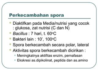Perkecambahan spora
 Diaktifkan pada Media/nutrisi yang cocok
: glukosa, zat nutrisi (C dan N)
 Bacillus : 7 hari, t. 60o
C
 Bakteri lain : 10’, 100o
C
 Spora berkecambah secara polar, lateral
 Aktivitas spora berkecambah dicirikan :
• Meningkatnya aktifitas enzim, pernafasan
• Ekskresi as.dipikolinat, peptida dan as.amino
 