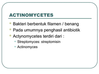 ACTINOMYCETES
 Bakteri berbentuk filamen / benang
 Pada umumnya penghasil antibiotik
 Actynomycetes terdiri dari :
• Streptomyces: streptomisin
• Actinomyces
 