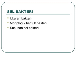 SEL BAKTERI
 Ukuran bakteri
 Morfologi / bentuk bakteri
 Susunan sel bakteri
 
