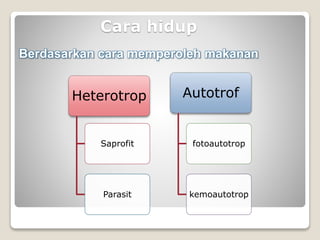 Bakteri Kelas X Kurikulum 2013 untuk SMA | PPTX