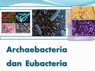 Archaebacteria
dan Eubacteria
 