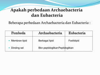 Beberapa perbedaan Archaebacteria dan Eubacteria :
Pembeda Archaebacteria Eubacteria
 Membran lipid Berbagai lipid Fosfolipid
 Dinding sel Bkn peptidoglikanPeptidoglikan
Apakah perbedaan Archaebacteria
dan Eubacteria
 