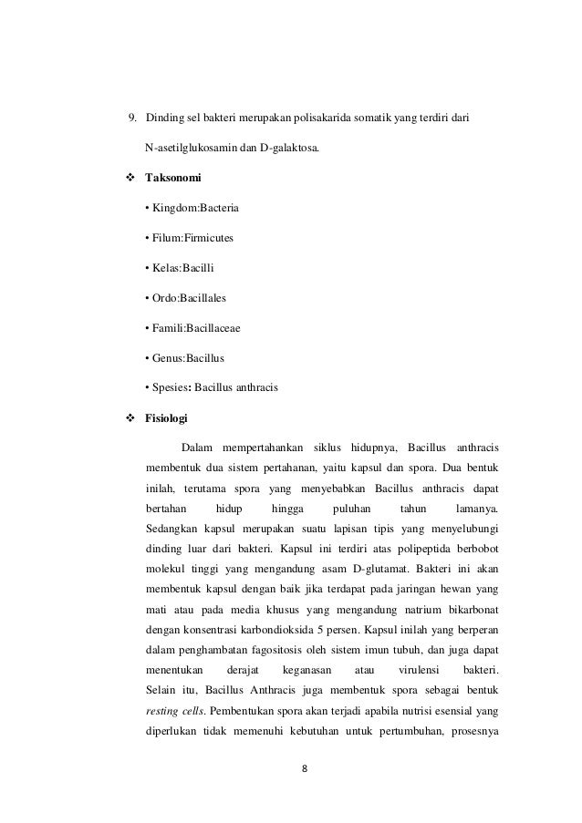 Bakteri bacillus subtilis Bakteri bacillus subtilis