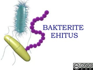 BAKTERITE  EHITUS 