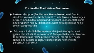 Morphology and Structure of Bacterial Cells: Forms, Sizes, and Cellular ...