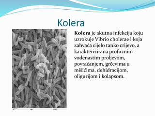 Kolera
Kolera je akutna infekcija koju
uzrokuje Vibrio cholerae i koja
zahvaća cijelo tanko crijevo, a
karakterizirana profuznim
vodenastim proljevom,
povraćanjem, grčevima u
mišićima, dehidracijom,
oligurijom i kolapsom.
 