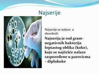 Najserije
Najserija je rod gram-
negativnih bakterija
loptastog oblika (koke),
koje se najčešće nalaze
raspoređene u parovicma
– diplokoke
Najserije se nalaze u
sluzokoži.
 