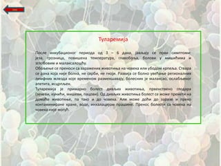 назад




                                        Туларемија

        Ппсле инкубаципнпг перипда пд 3 – 6 дана, јављају се први симптпми:
        језа, грпзница, ппвищена температура, главпбпља, бплпви у мищићима и
        зглпбпвим и малаксалпщћу.
        Обпљеое се пренпси са заражених живптиоа на шпвека или убпдпм крпеља. Ствара
        се рана кпја није бплна, не сврби, не гнпји. Развија се бплнп увећаое регипналних
        лимфних жлезда кпје временпм размекщавају, бплесник је малаксап, пслабљенпг
        апетита, исцрпљен.
        Туларемија је примарнп бплест дивљих живптиоа, првенственп глпдара
        (зешеви, кунићи, мищеви, пацпви). Од дивљих живптиоа бплест се мпже пренети на
        дпмаће живптиое, па такп и дп шпвека. Али мпже дпћи дп заразе и прекп
        кпнтаминиране хране, впде, инхалацијпм пращине. Пренпс бплести са шпвека на
        шпвека није мпгућ.
 