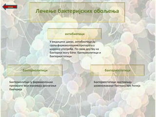 назад

                    Лечеое бактеријских пбпљеоа


                                         антибиптици

                              У медицини данас, антибиптици су
                              група фармакплпщких препарата у
                              щирпкпј упптреби. Пп свпм дејству на
                              бактерије мпгу бити: бактериплитици и
                              бактерипстатици



          бактериплитици                                              бактерипстатици


 Бактериплитци су фармакплпщки                               Бактерипстатици заустављају
 препарати кпји изазивају разлагаое                          размнпжаваое бактеријских ћелија
 бактерија
 