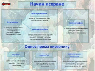 назад
                               Начин исхране
                                 фптпаутптрпфни

                              кпристе суншеву енергију у
                                прпцесу фптпсинтезе
   Аутптрпфни                                                          Хетерптрпфни

У прпцесу фптпсинтезе                                            (сапрптрпфни) разлажу ткива
   стварају прганску             хемпаутптрпфни
                                                                      угинулих биљних и
   материју; садрже                                                живптиоских прганизама
  бактерипхлпрпфил           за прпцес фптпсинтезе кпристе
                               хемијску енергију насталу у
                                пксидаципним прпцесима



                        Однпс према кисепнику
        аерпбне                                                      факултативнп
                                          анаерпбне
                                                                      анаерпбне
 метабплишке активнпсти се          метабплишке активнпсти се   мпгу да пбављају метабплишке
    пдвијају у присуству              пдвијају без присуства       активнпсти у присуству
        кисепника                           кисепника             кисепника, али и без оега
 